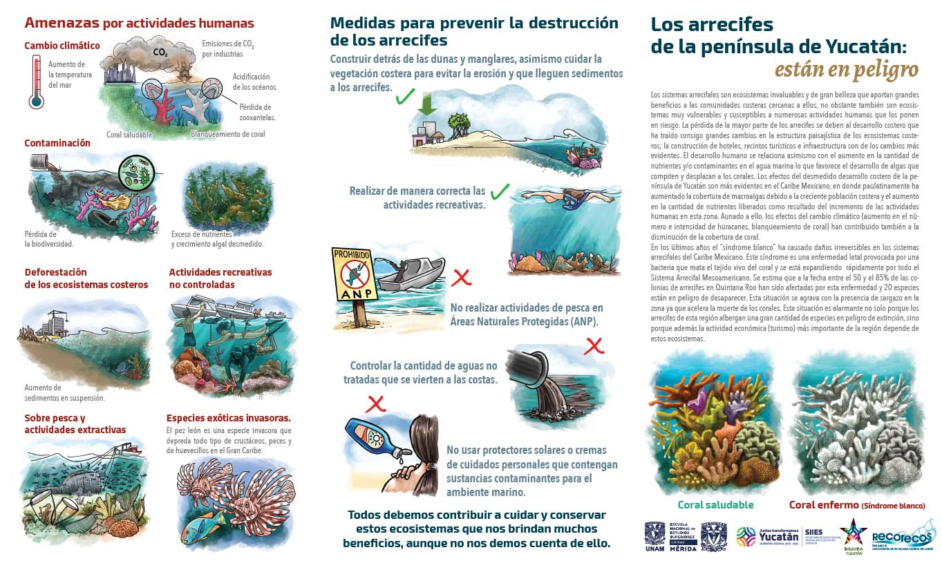 Amenazas a los arrecifes