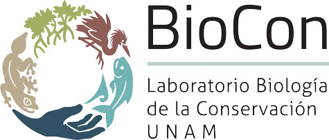 logo laboratorio