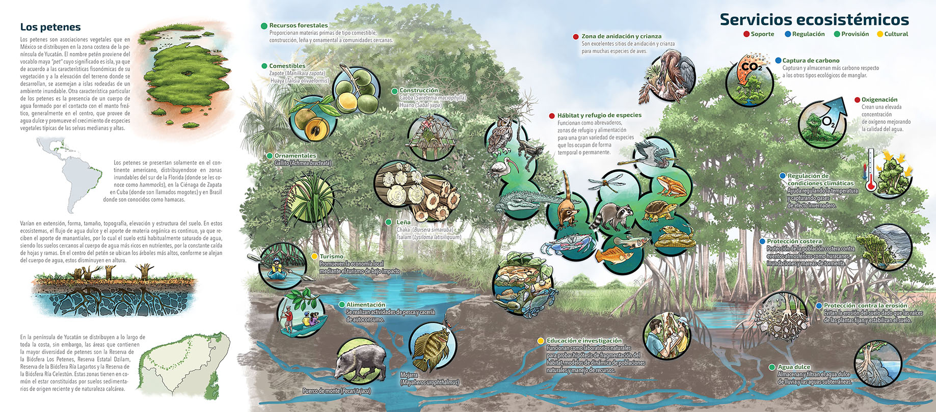 Servicios ecosistemicos petén