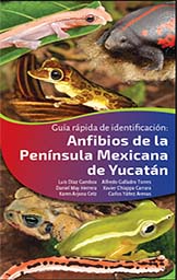 Triptico-anfibios