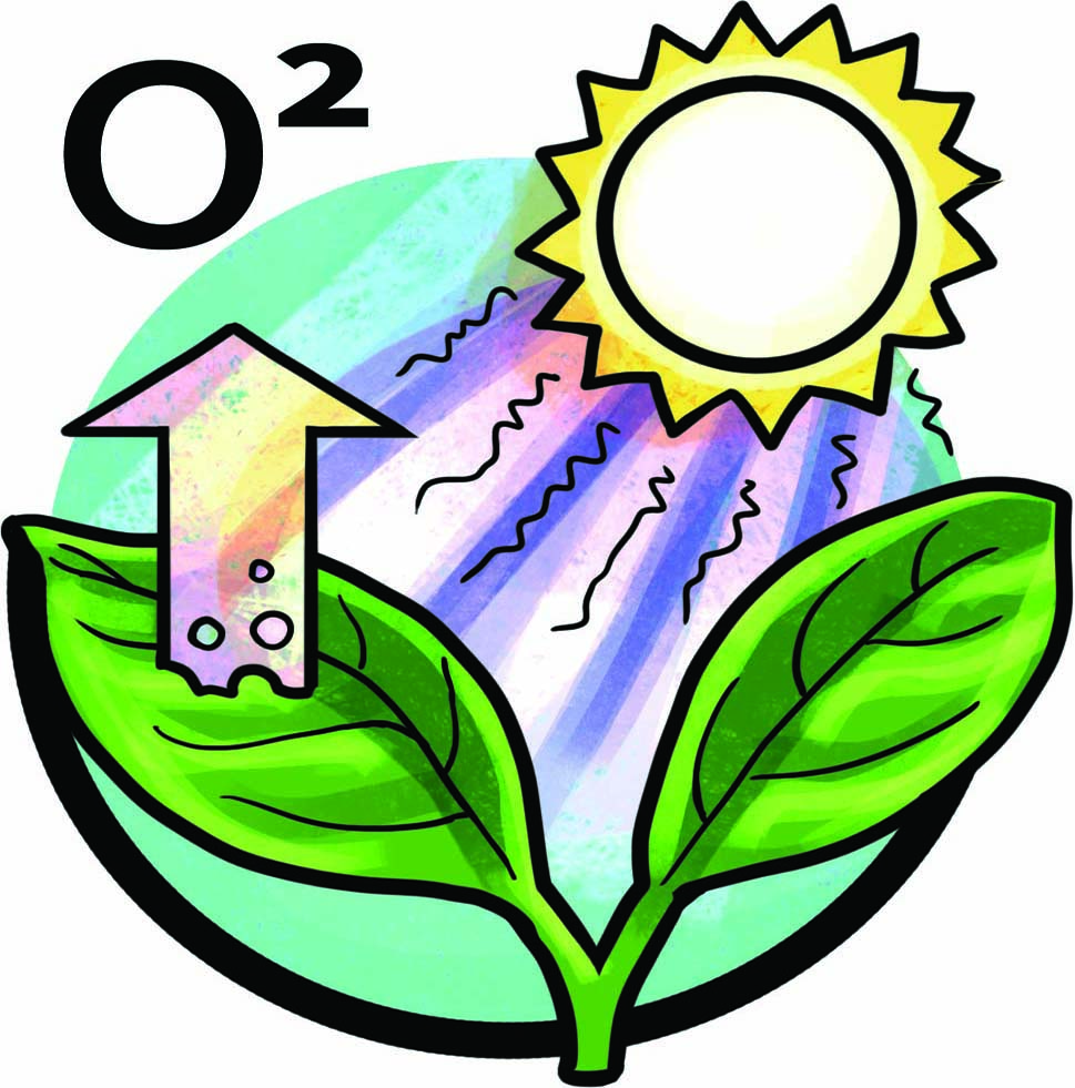 produccion-oxigeno